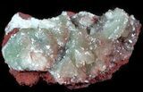 Gemmy, Blue-Green Adamite Crystals - Durango, Mexico #45687-1